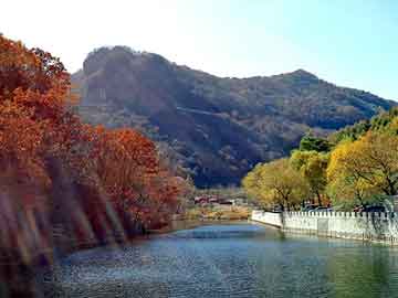 2004新澳门天天开好彩大全和年轻人扎堆乡公务员与数据深度最新简化版_uw08591.397.59